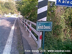 �AYIMIZIN T(ADI) GER� GELD�