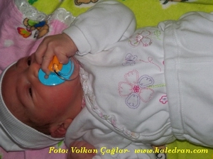 HO� GELD�N MELEK NUR BEBEK